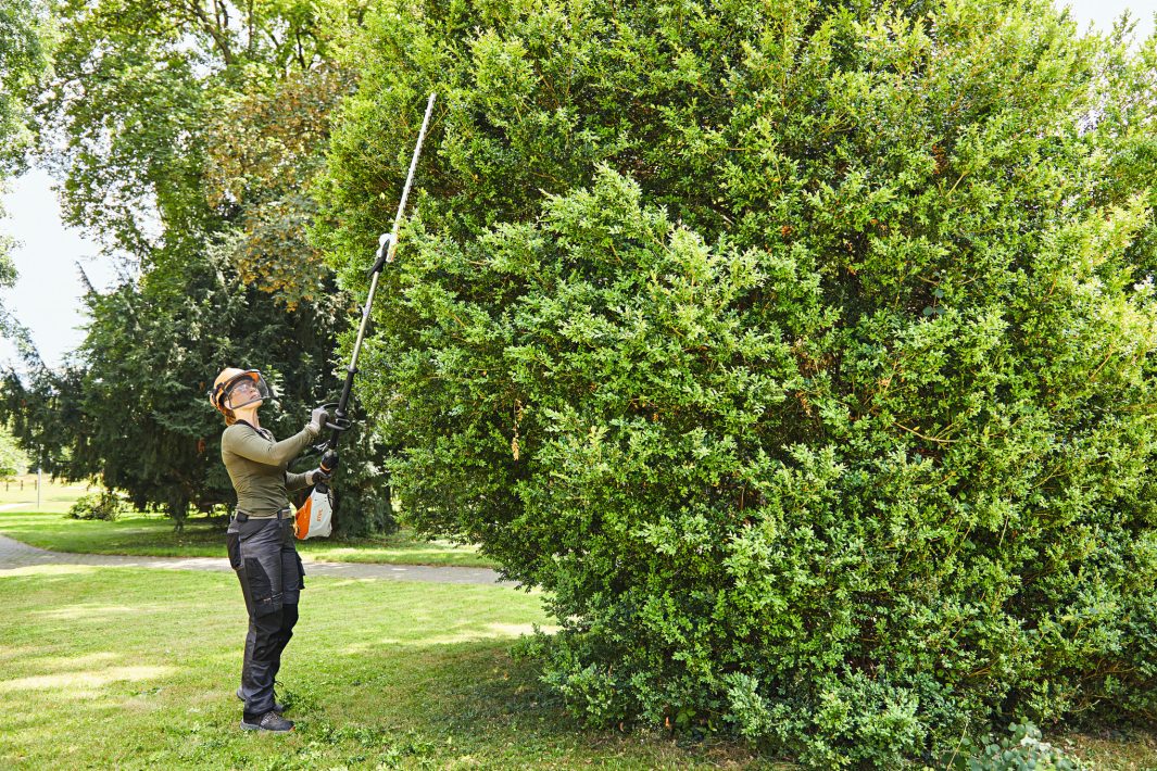 STIHL HLA 135 AKKUS MAGASSÁGI SÖVÉNYVÁGÓ AP (AKKU ÉS TÖLTŐ NÉLKÜL)